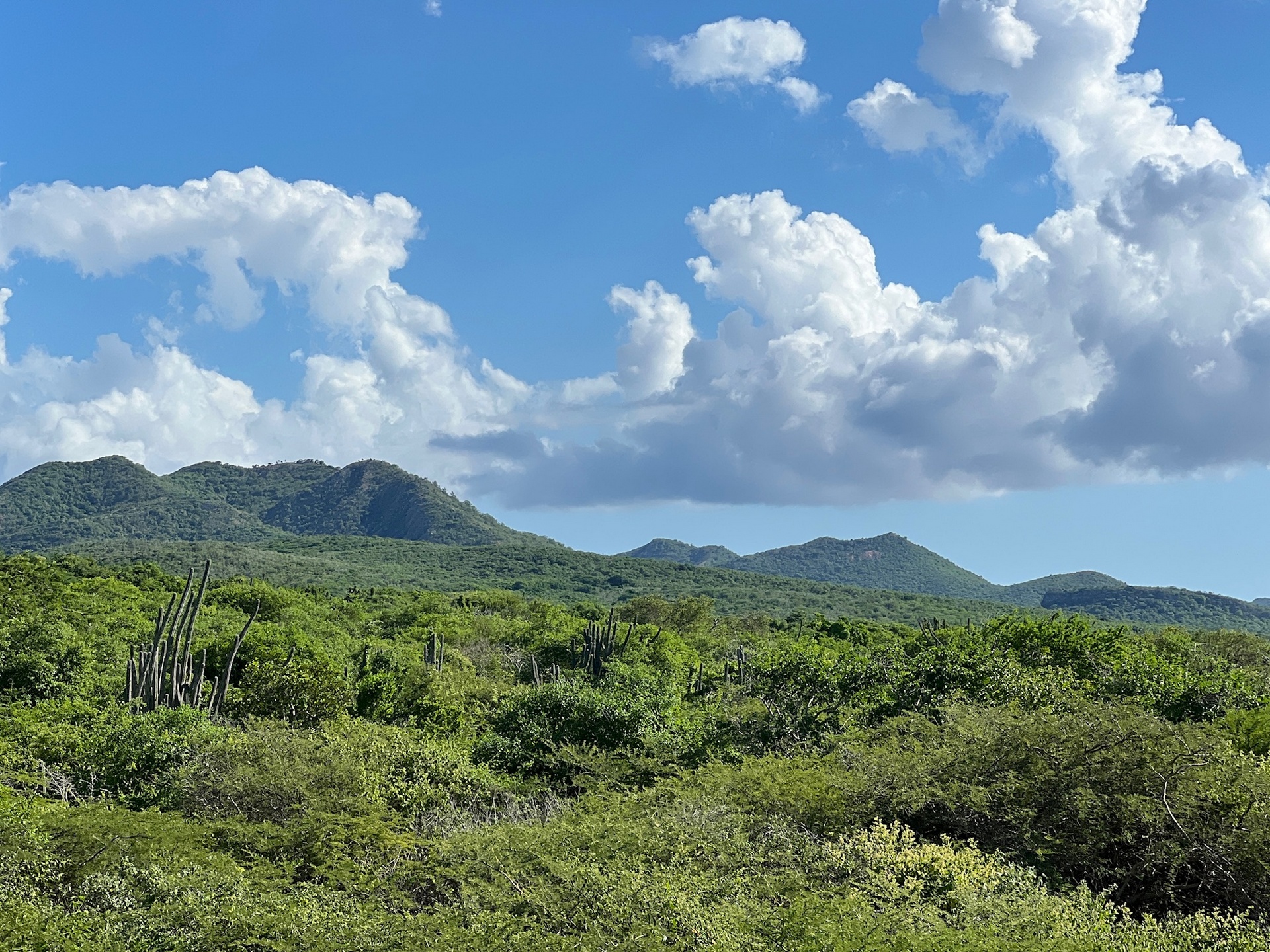 View to Christoffel Park from Residencia Kadushi
