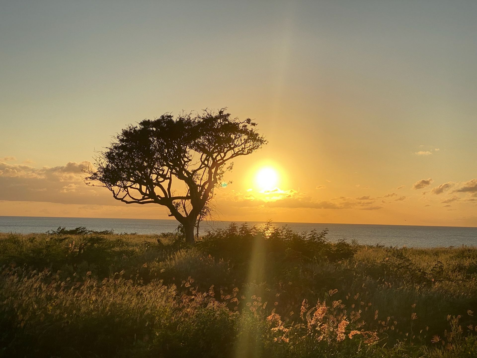 Sunset at Jeremi